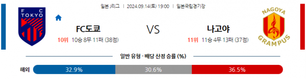 로얄스포츠 스포츠분석