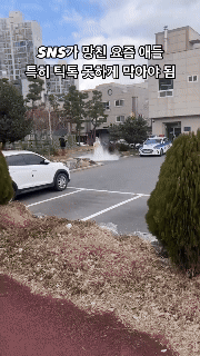 c46c0b06a1e922a3e5aa9cee884b220f_1736195866_9899.gif
